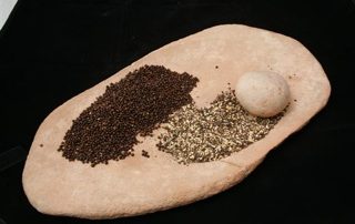 Wattleseed whole and ground. This stone was used to mill the wattleseeds to a flour.