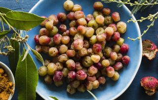 Muntries an Australian native wild berry