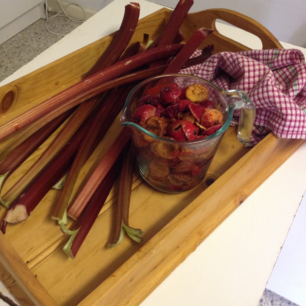 quandongs and rhubarb go so well together, try our Quandong and Rhubarb pie. Recipe on BBQ website