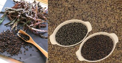 Wattleseed from left to right, wattleseed pods, wattleseeds after removing from post, pre roast, top, after roast, bottom and milled ready for culinary use in the background