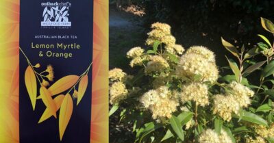 Lemon myrtle and orange with black tea, a tantalizing combo to enjoy hot or chilled