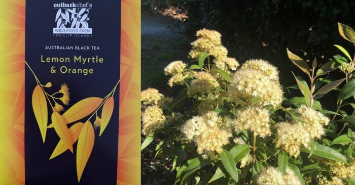 Lemon myrtle and orange with black tea, a tantalizing combo to enjoy hot or chilled