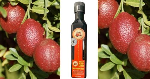 Red Centre Lime, Australian native limes with Australian Olive Oil