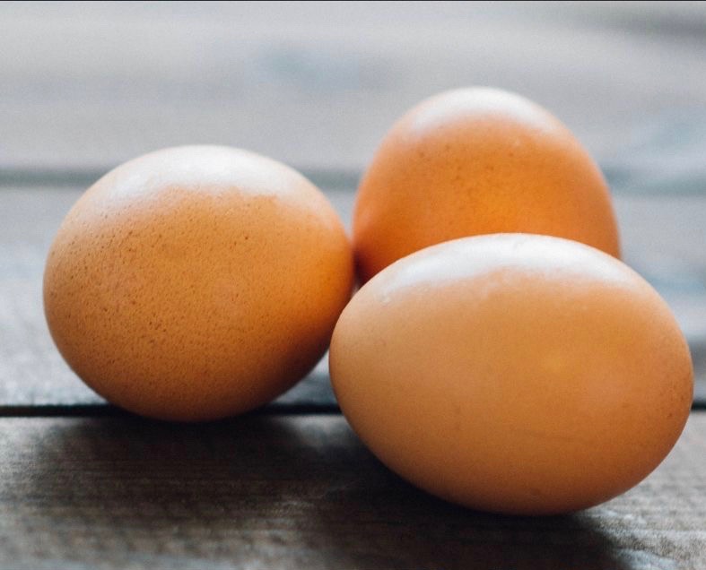 eggs (1) eggs from outbackchef