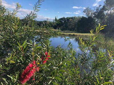 Wild Food Farm, Victoria