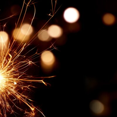 Happy New Year from all at the Wild Food Farm