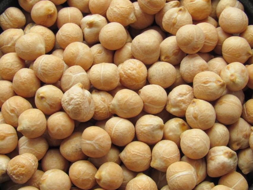 Chickpeas, a healthy option for snacks, burgers and salads