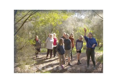 Bush Walk with Jude Mayall