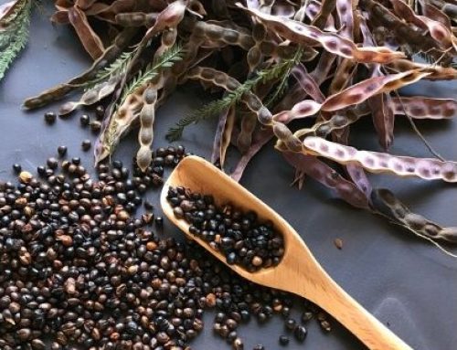 Wattleseed – small batch roasted to perfection