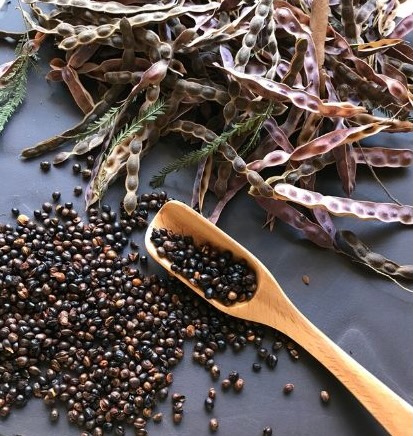 Wattleseed in pods and as raw wattleseed
