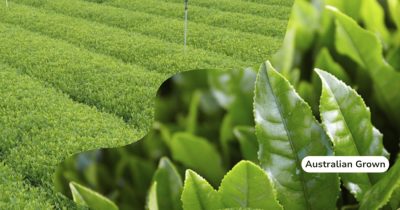 Australian grown tea, fresh, healthy and tastes amazing